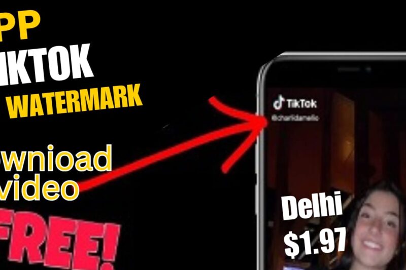 BISE TikTok Video Download TikTok Videos Without Watermark