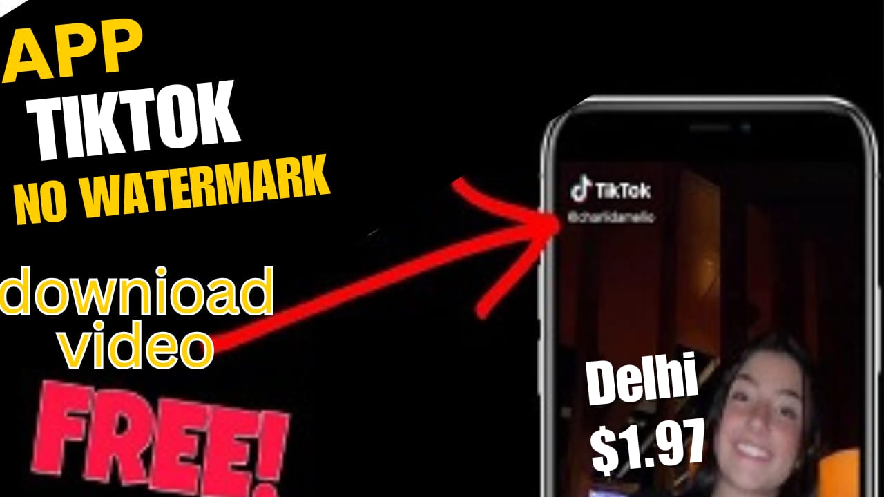 BISE TikTok Video Download TikTok Videos Without Watermark